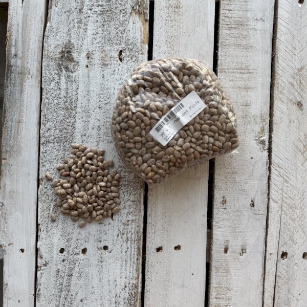 product name